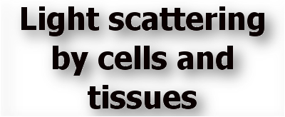 Light scattering by cells and tissues