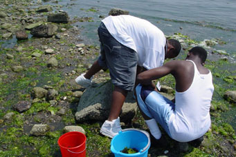 Andre and Ruben work to find crabs.